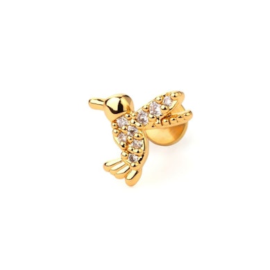 Labret med kolibri og sten
