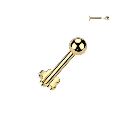 Flat back-labret med blomst af titanium