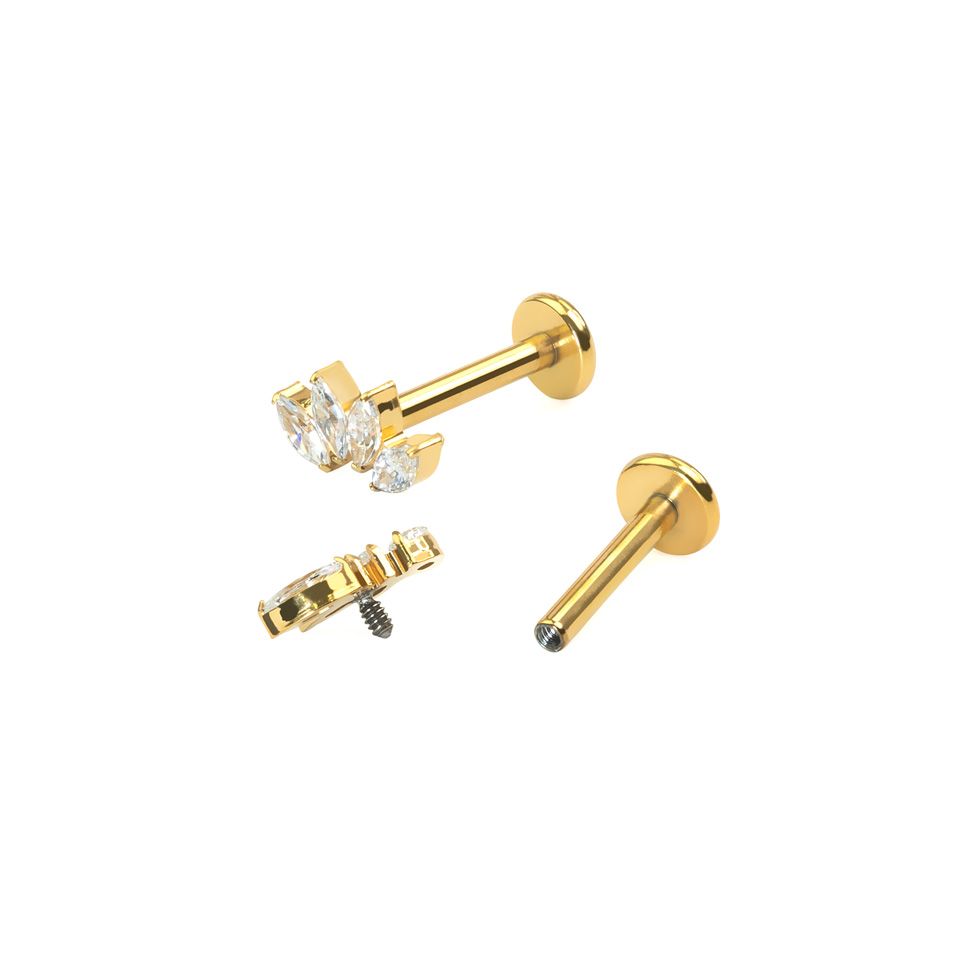 Titaniumlabret med fire marquise-sten