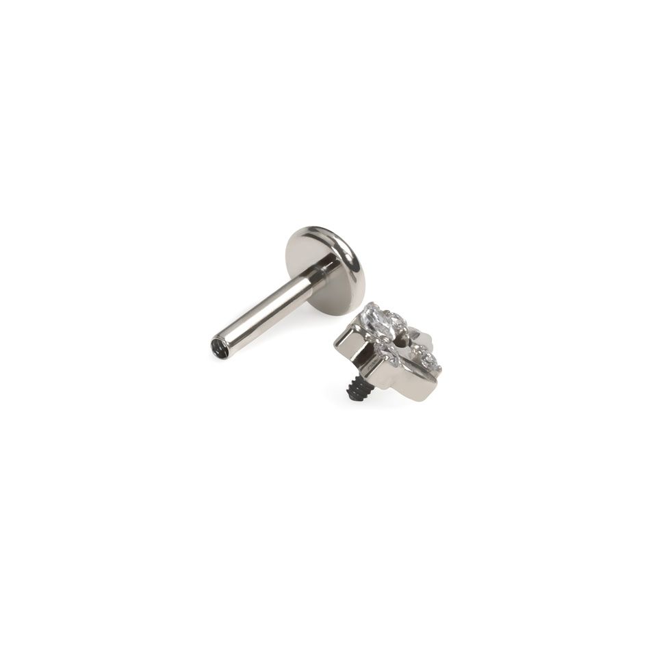 Titaniumlabret med blade og sten