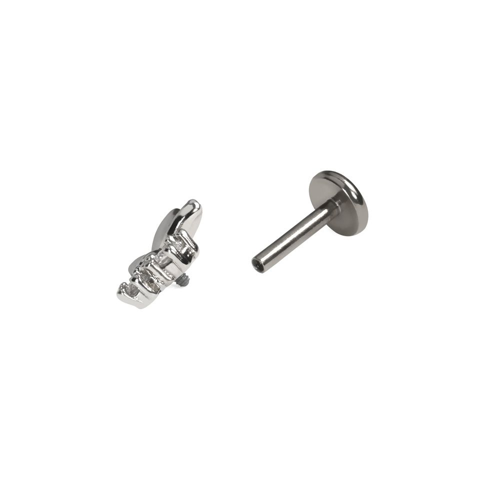 Labret med sommerfugl og sten