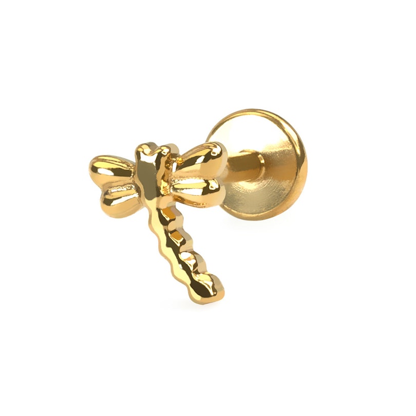 Guldsmedlabret af titanium Piercinger - Danmark