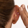 Labret med blad og blomst af titanium Kropspiercing - Danmark