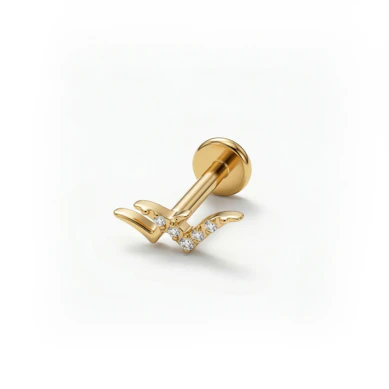 Titaniumlabret med fugle