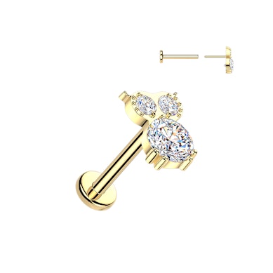 Titaniumlabret med ugle og sten