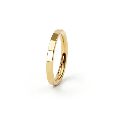 Elegant titaniumring med facetter