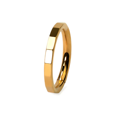Elegant titaniumring med facetter