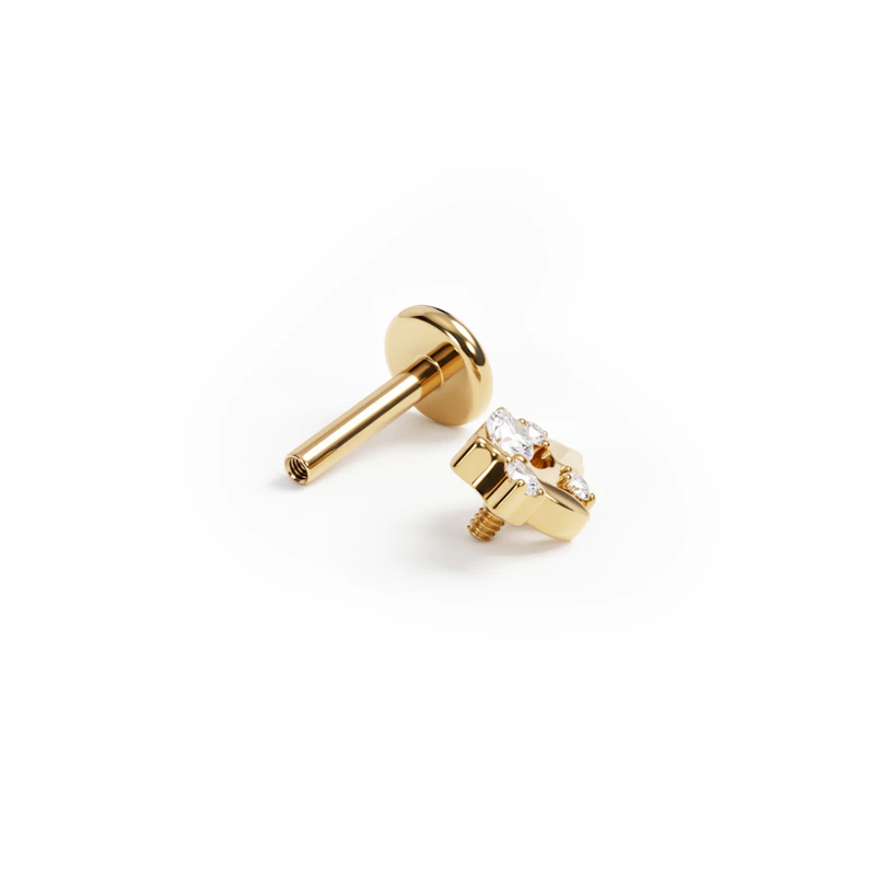 Titaniumlabret med blade og sten