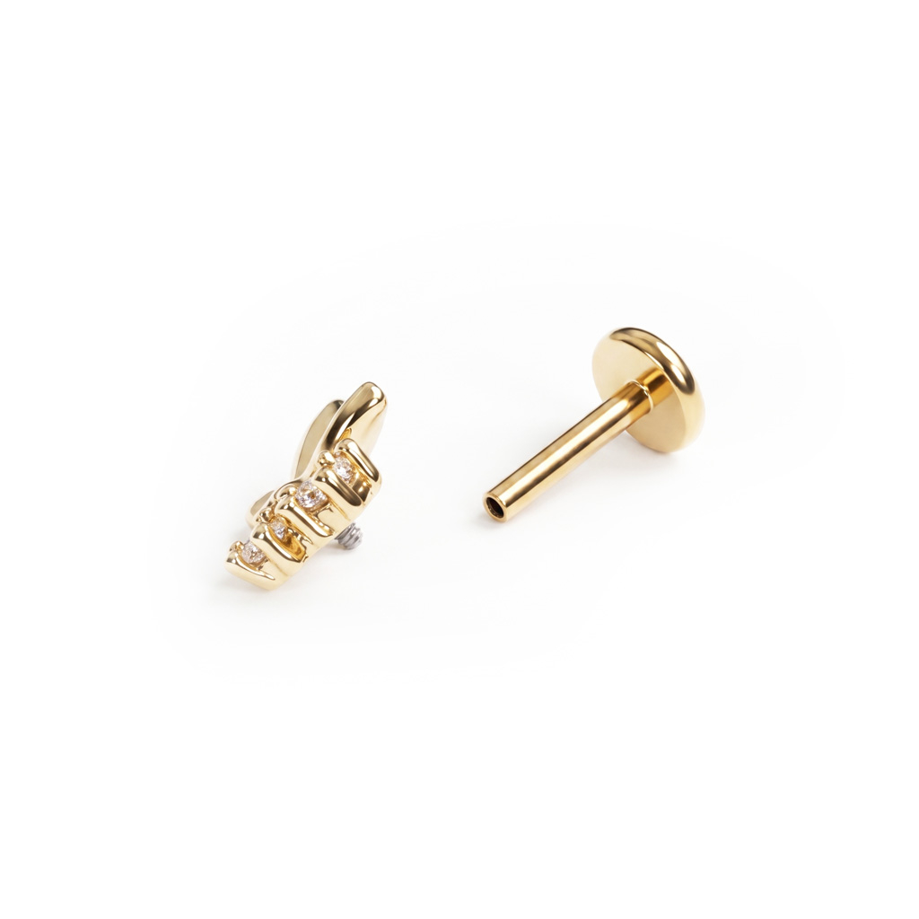 Labret med sommerfugl og sten