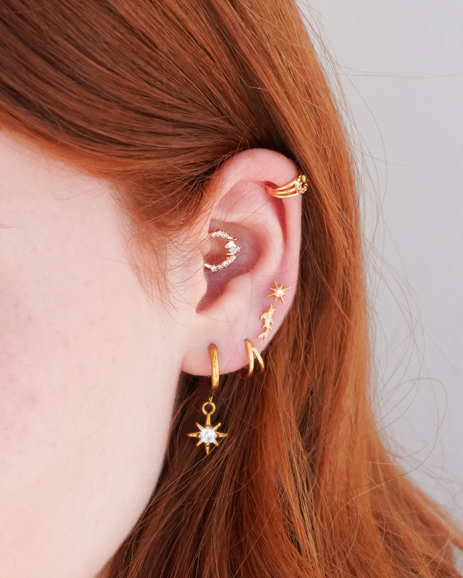 Titaniumlabret med koifisk