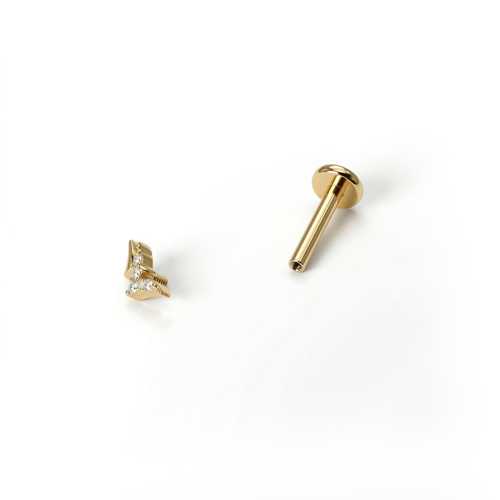 Titaniumlabret med fugle