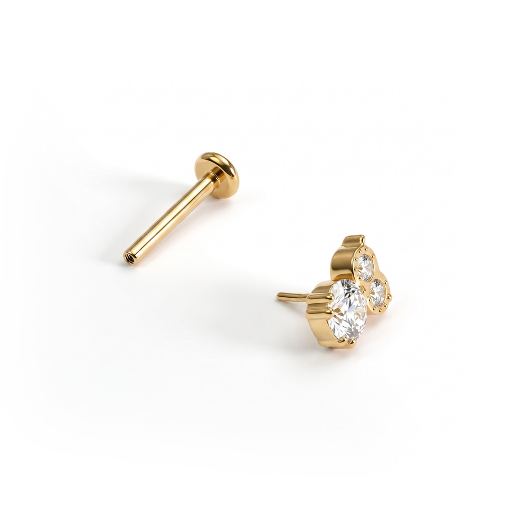 Titaniumlabret med ugle og sten